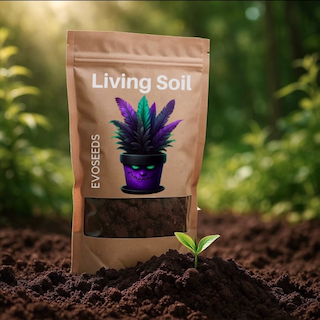 Living Soil